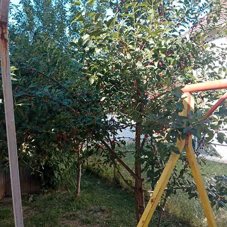 Lukare נובי פאזאר