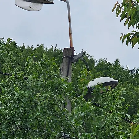 Lukare * נובי פאזאר